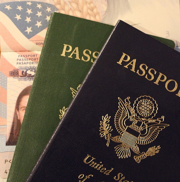 Requisitos de certidão de nascimento do USCIS: Uma demanda crucial 3 Vista em close da capa frontal de dois livros de passaportes dos EUA.