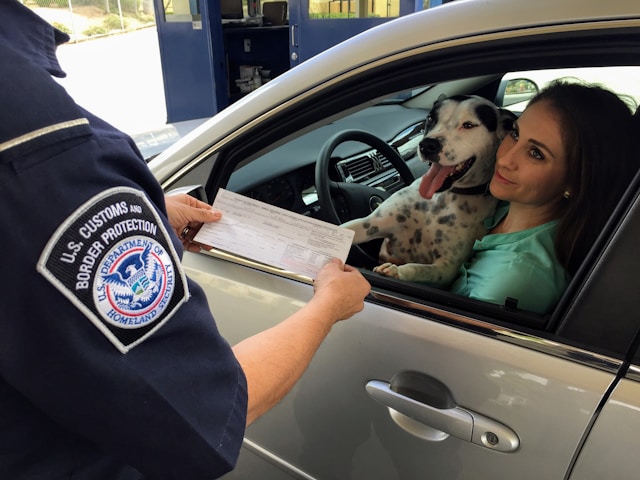 Requisitos para o visto mexicano: Encontre tudo o que você precisa para visitar o México 6 Um funcionário da alfândega dos EUA verifica o Border Crossing Card de uma pessoa.