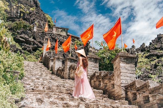 Vietnamesische Übersetzung: Überblick über die Dienstleistungsanbieter 4 Rückenansicht einer Person auf einer mit der vietnamesischen Flagge geschmückten Backsteintreppe.