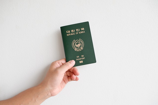 Passport ins Englische übersetzen: Kommunizieren Sie Ihre Identität 5 Eine Hand hält einen koreanischen Reisepass auf weißem Hintergrund.