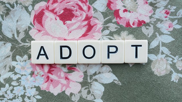 Définition de l'adoption ouverte : Comment cela fonctionne-t-il ? 6 Plusieurs tuiles de Scrabble forment le mot "ADOPTE".