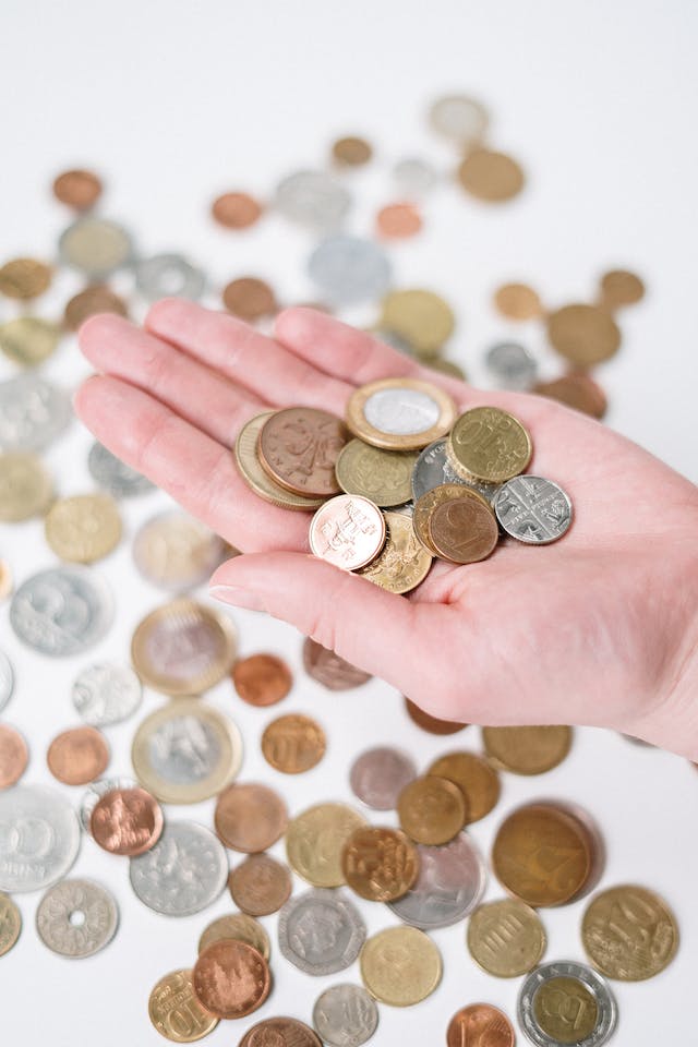 Person holding silver and gold coins.