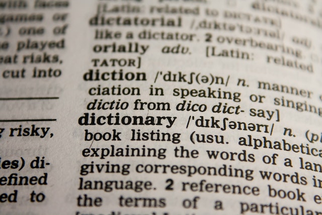 A close-up photo of the word ‘dictionary.’