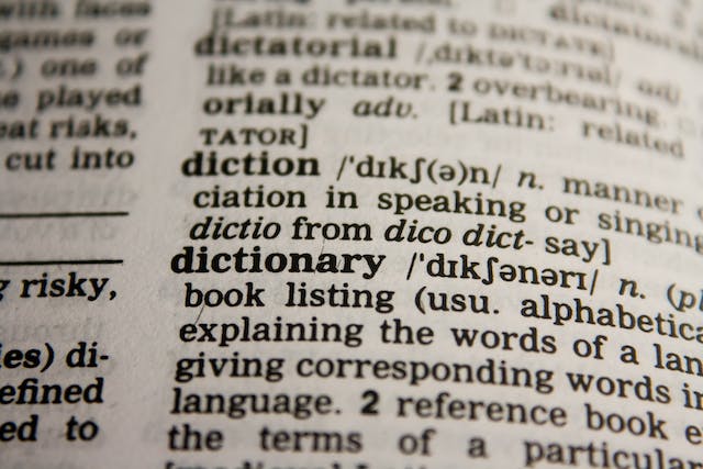 Website Translation Services: Picking One for Your Site 4 A closeup picture of a dictionary page with the definition of several words.
