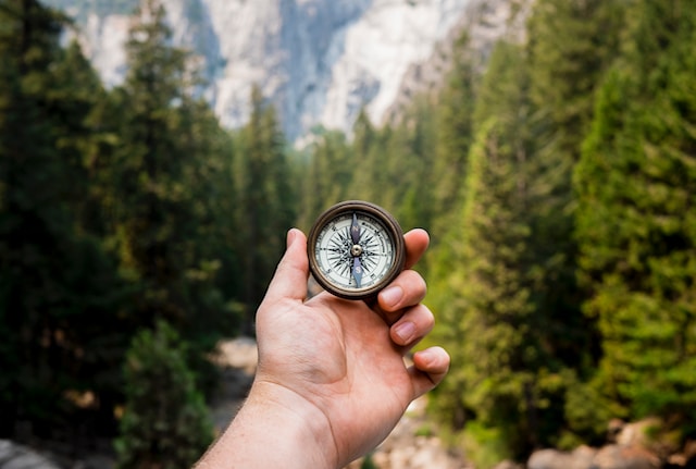 A photo of someone holding a compass in a woody area.