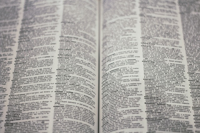 A close-up view of the texts in a dictionary.
