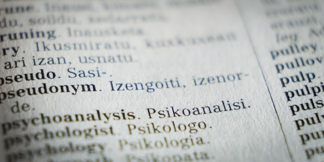 A closeup picture of a foreign-language text on a book page. 