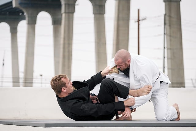 Two jiu-jitsu practitioners in action.
