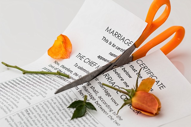 A pair of scissors cuts through a marriage certificate and a flower on top of each other.
