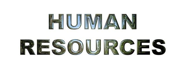 The word “human resources” is on a white background.
