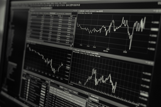 Financial Translation: Where To Get This Service 4 A computer screen displays several stock graphs.
