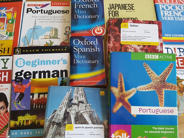 Rapid Translate Reviews: Discover the Agency’s Reputation 4 An array of language books in different languages.