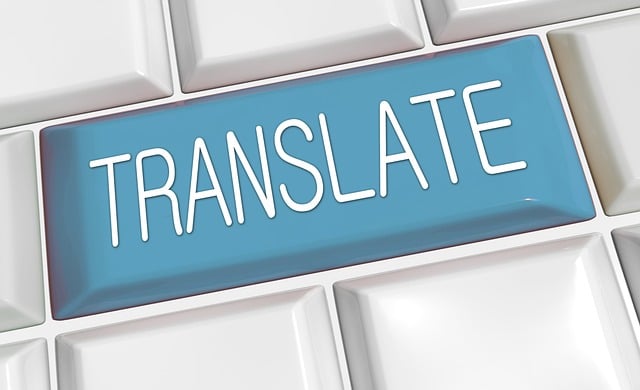 Синяя кнопка клавиатуры с надписью TRANSLATE.

