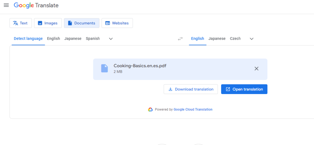 如何翻译 PDF:正确翻译的工具和步骤8 Rapid Translate 在台式机上的谷歌翻译下载页面截图。