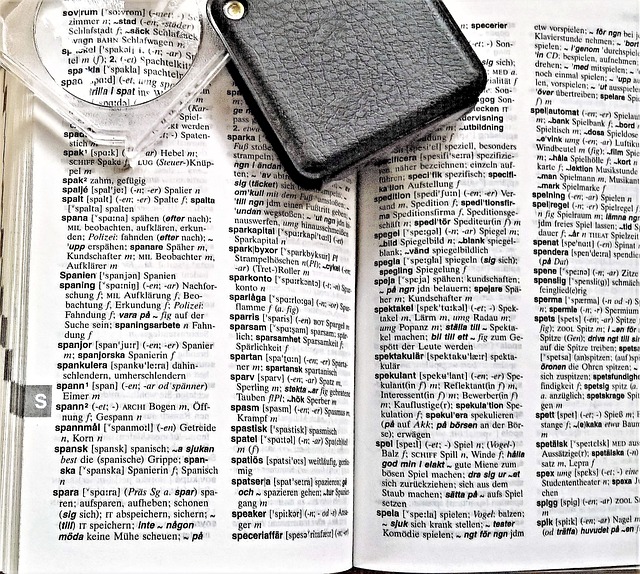 最佳图像翻译器:选择最可靠的方案4 瑞典语-德语词典页面。