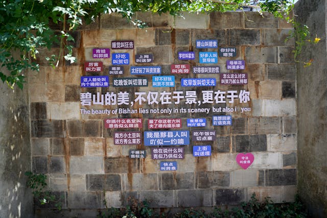 DeepL vs Google Translate:哪个更好?6 pexels 马云 177644463 28987069
